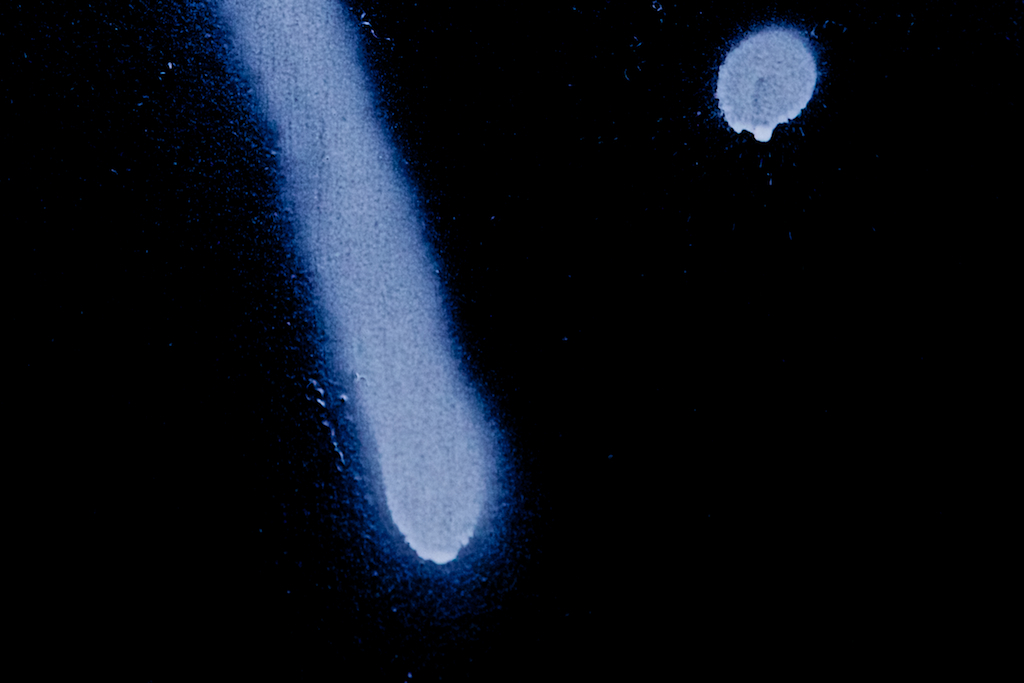 scale 8