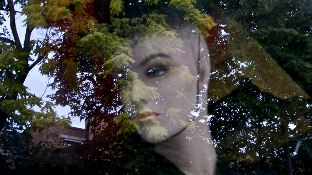 still 11