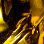 weed world-8