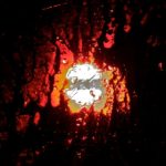 nitebus 9